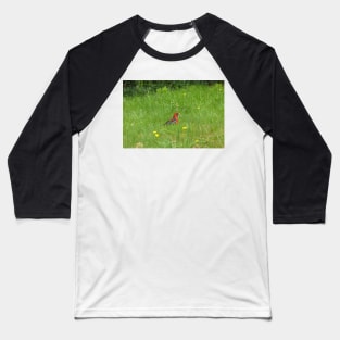 Crimson Rosella Collecting Dandelion Baseball T-Shirt